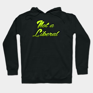 NAL Hoodie